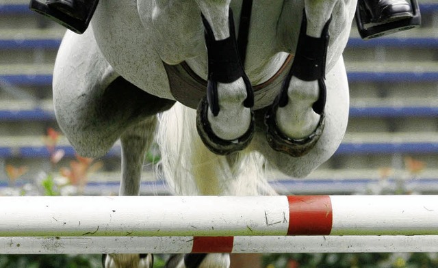 Springprfungen prgen das Bild des Reitsports.   | Foto: dpa (Archiv)