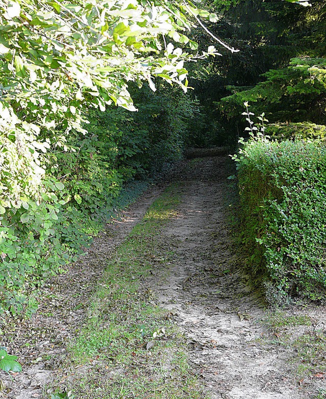 Eng ist die Zufahrt zu den Grten  an   der Auwaldstrae.   | Foto: R. Beschorner