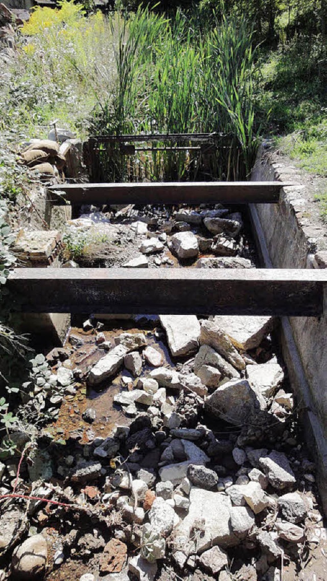 Kein Wasser im Wuhr: Kritik gab&#8217;...inderat, da die Ursache bekannt ist .   | Foto: Hartenstein