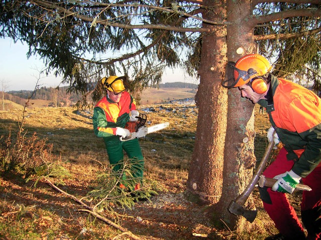 Bume fllen fr den Naturschutz &#8211; auch das gehrt zu einem Life-Projekt.  | Foto: Horst A. B