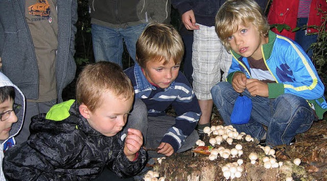 Interessiert betrachten die Kinder der...ste auf einem vermodernden Baumstumpf.  | Foto: Merz