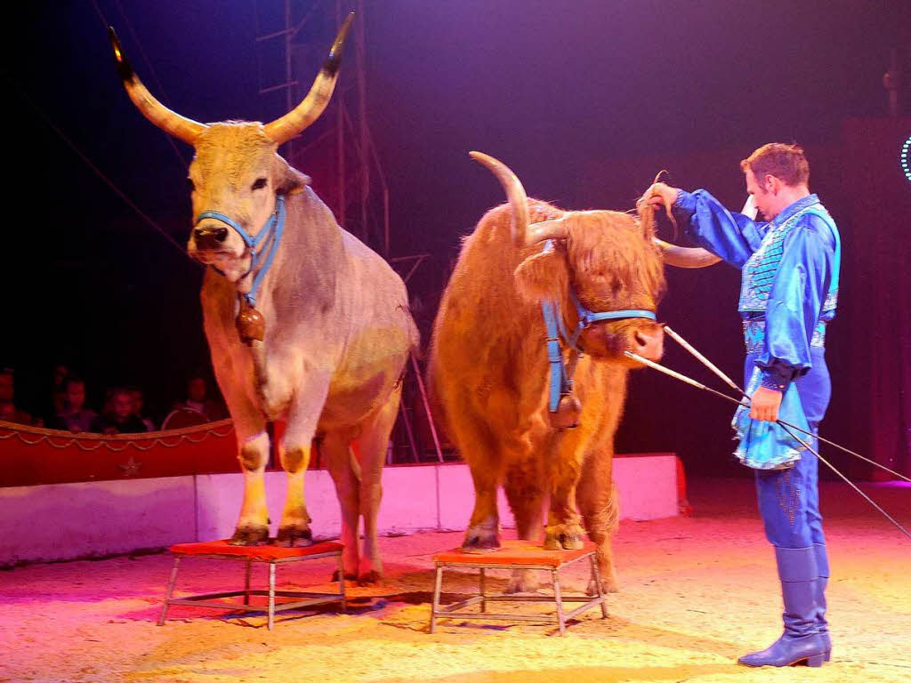 Manege frei im Zirkus Charles Knie