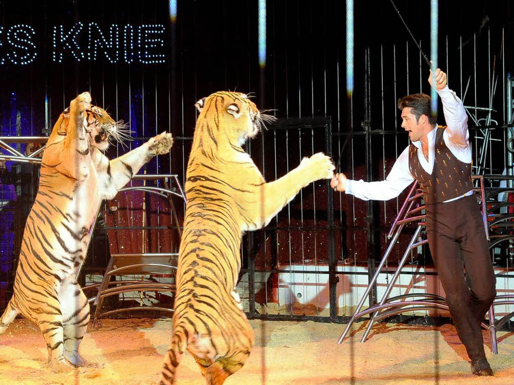 Manege frei im Zirkus Charles Knie