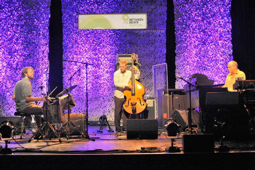 Billy Martin (von links), Chris Wood und John Medeski beim Erffnungsabend des bunten Jazz-Festivals "Between the Beats" im Denzlinger Kultur- und Brgerhaus