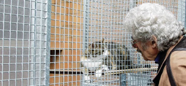 Begegnung zwischen Mensch und Tier: Am... Tierheim reichlich Gelegenheit dafr.  | Foto: pis grttinger