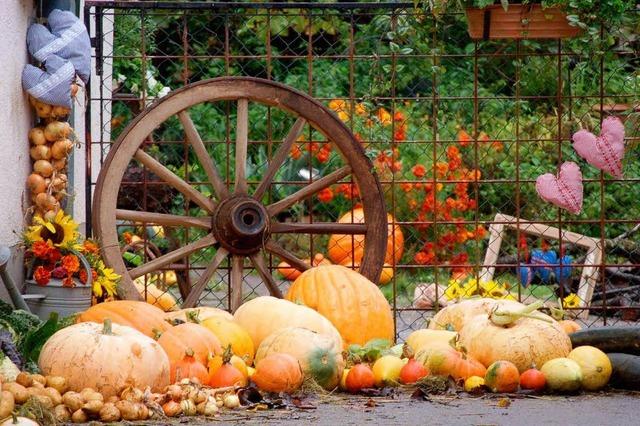 Fotos: Enkendorfmarkt in Wehr