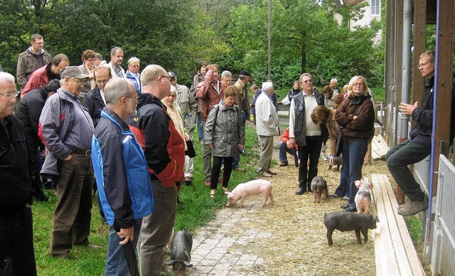 Anschauungsunterricht in der Schweinezucht der Landwerksttten Herrmannsdorf  | Foto: Hans Spengler