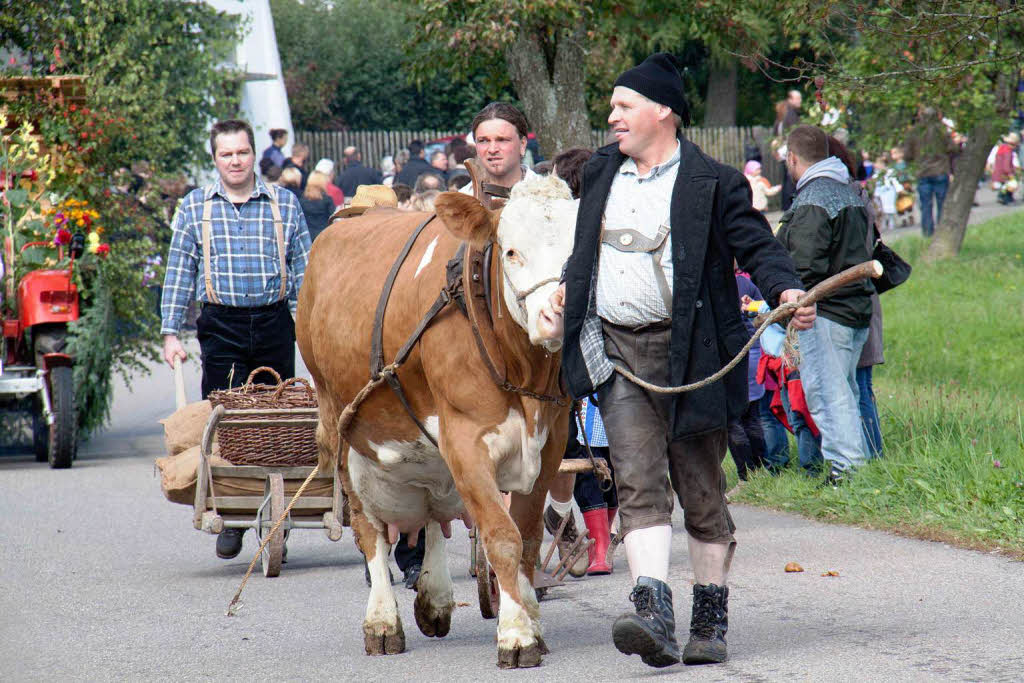 Festumzug beim 48. Erntedankfest der Trachtenkapelle in Berau<?ZP?>
