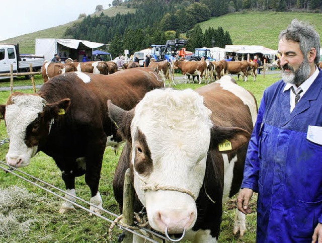 Coole Khe &#8211; ihnen machte die Khle nichts aus.  | Foto: Gerd Sutter