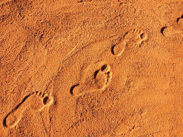 Welchen Weg soll man gehen? Entscheidungen sind immer schwierig.  | Foto: gravicam - Fotoliacom/gravicam