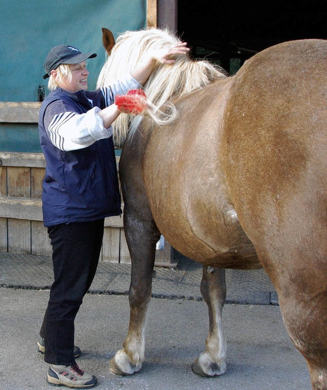 Kenner zeigten den Besuchern am Tag de...f wie man richtig mit Pferden umgeht.   | Foto: Horst B