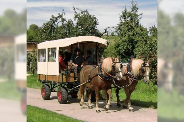 Ausflug mal mit dem Planwagen