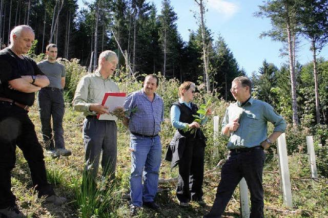 Viel Arbeit und Fingerspitzengefhl