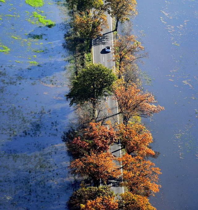 Diese Landstrae in der Nhe von Elsterwerda ist vom Hochwasser eingeschlossen.   | Foto: dpa