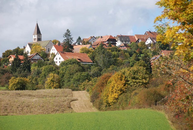 Trotz intensiver Landwirtschaft in den...kung auch viel idyllische Landschaft.   | Foto: Martin Wunderle