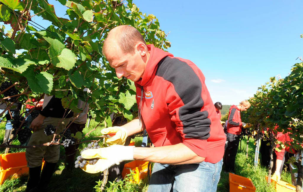 Oliver Barth beim Herbsten