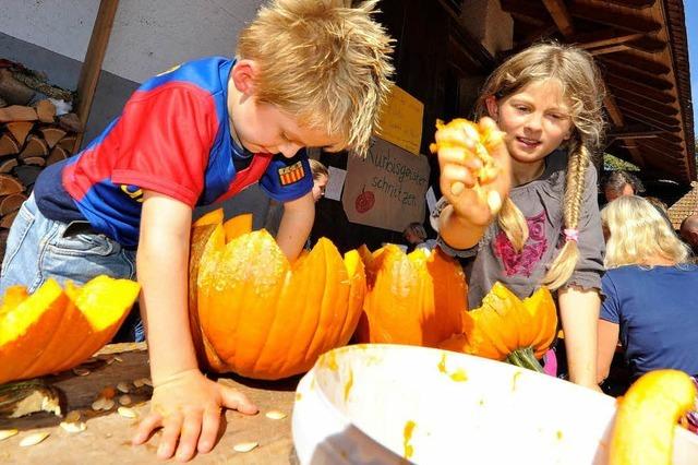 Fotos: Krbisfest auf dem Mundenhof in Freiburg