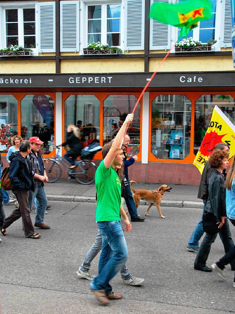 Rund 600 Demonstranten fordern in Breisach den Atomausstieg.
