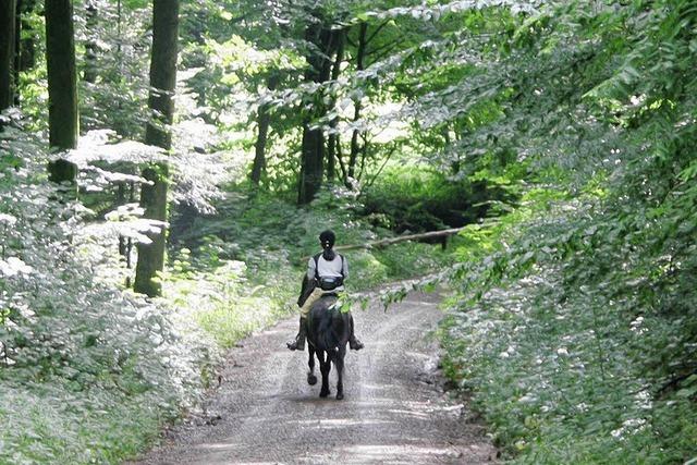 Regeln fr Radler und Reiter im Wald