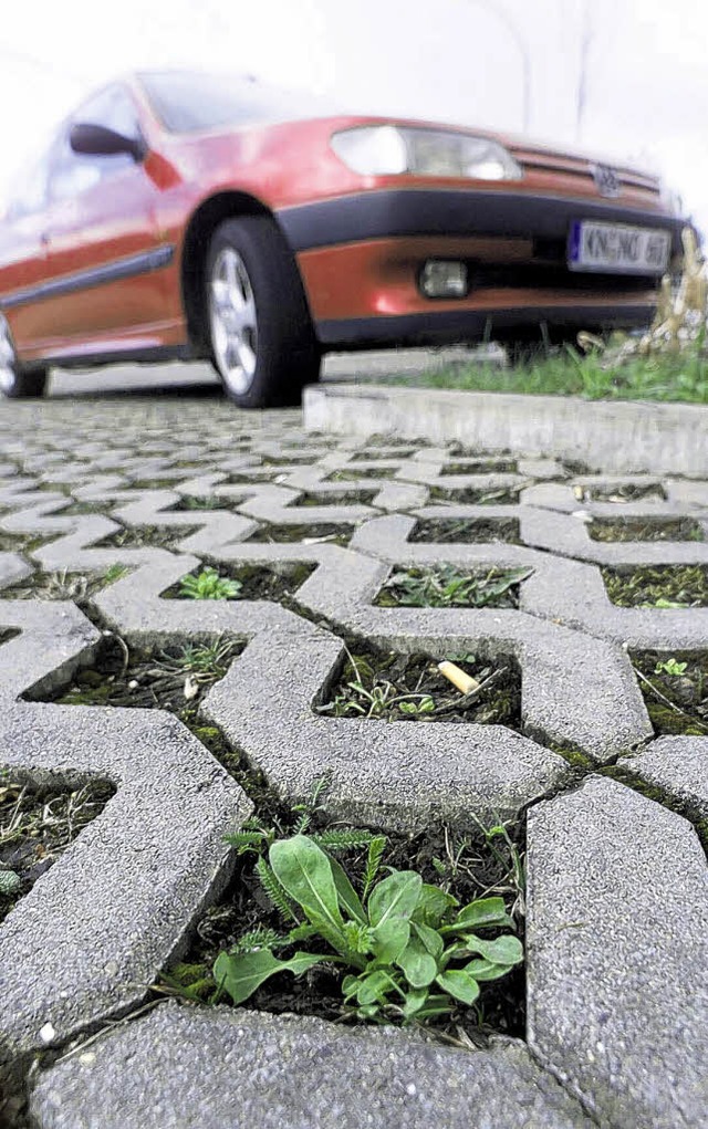 Rasengittersteine sollen   sparen helf...versiegelte Flchen eine neue Gebhr.   | Foto: BZ