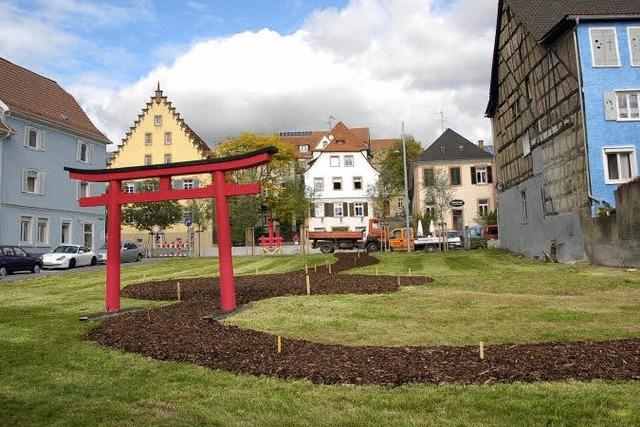 Neue Chrysanthemenarten