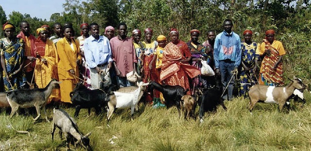ber Ziegen als neue Lebensgrundlage  ...lieder der Kolpingfamilien in Burundi   | Foto: silvia faller/kolpingwerk