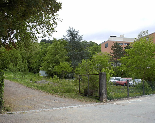 Das Gelnde der alten  Stadtgrtnerei in der Gartenstrae soll bebaut werden.   | Foto: Gerhard Walser