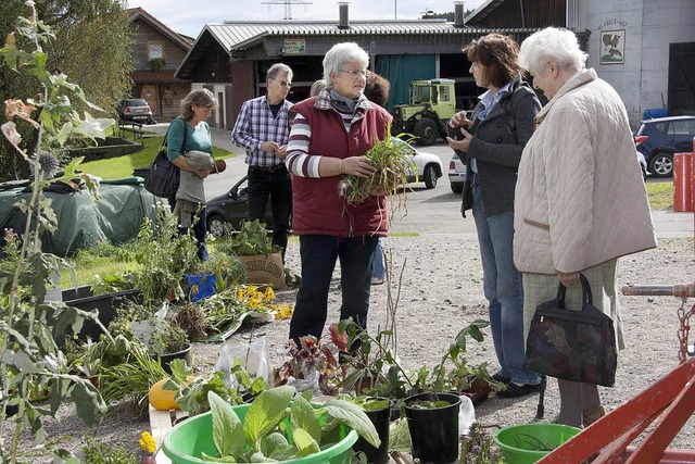 Bei der Tauschbrse der Landfrauen in ...mmerpflanzen- und Gartenbesitzerinnen.  | Foto: Seifried