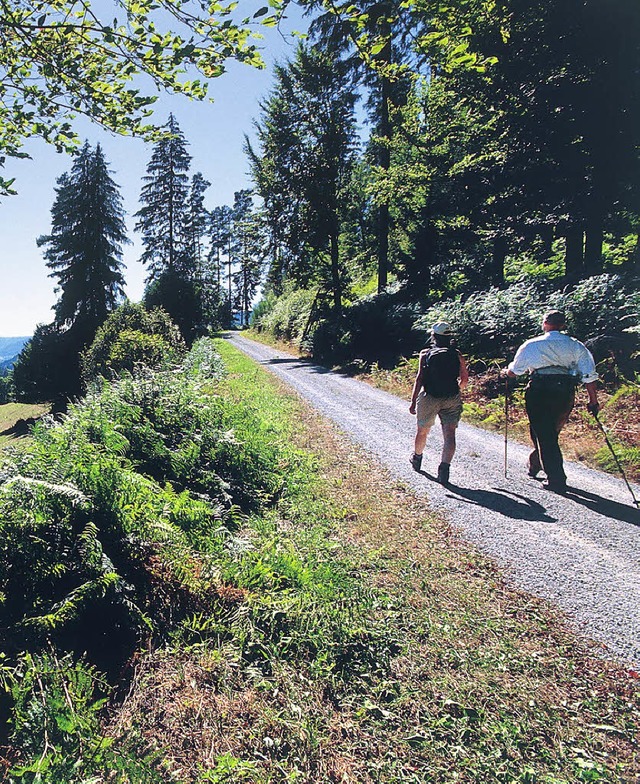 Wanderhimmel: 550 Kilometer geht es auf Wegen durch den Nordschwarzwald.  | Foto: Boess/Tourismus Baiersbronn