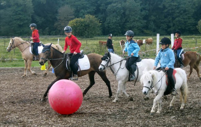 Dass Pferdesport und Fuball sich nich...r offenen Stalltr auf dem Kupferhof.   | Foto: ines sssle