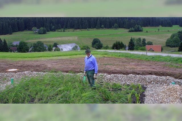 Planungsbro untersucht zwei Varianten