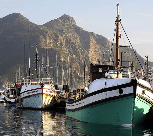 Fisch verpacken in stickigen Rumen &#...bar unmenschliche Arbeitsbedingungen.   | Foto: AFP