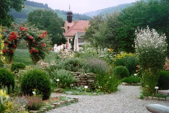 Lehrstunden im Krutergarten