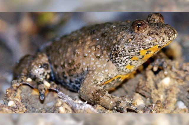 Wohl der Tiere wird wohl nicht billig