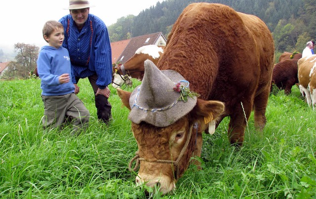 Wohl behtet war  das Oberrieder Vieh ...211; in die heimischen Stlle zurck.   | Foto: Monika Rombach