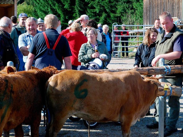 Die  Viehversteigerung im Ring gehrt zum Hhepunkt des Wieser Weideviehmarkts  | Foto: Edgar Steinfelder