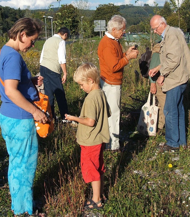 Auf kologische Entdeckungsreise ginge... die Brger zwischen Wiese und B 317.   | Foto: Privat