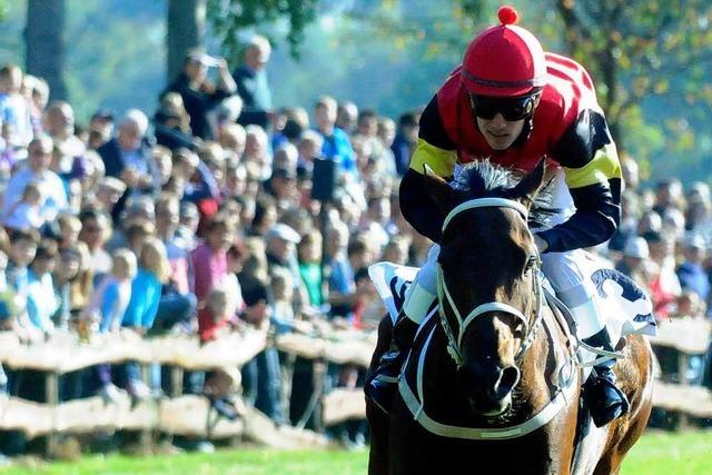 Fotos: Pferderennen in Meienheim