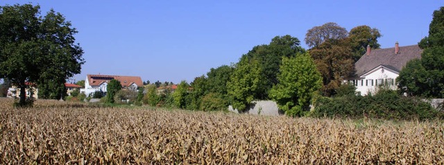 Bad Krozingen will am Sdrand der Stad... Schlossmauer einen Parkplatz anlegen.  | Foto: Huber