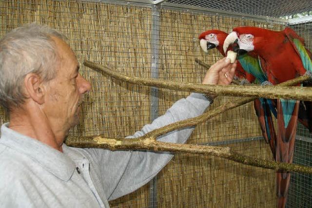 Drei Landessieger der Vogelfreunde