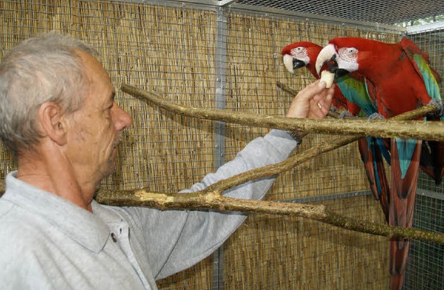 Vogelschau Emmendingen  | Foto: Aribert Rssel