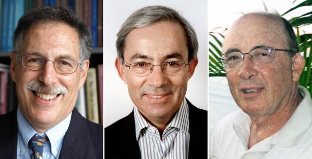 Strahlemnner mit Nobelpreis (v. l.): Diamond,  Pissarides, Mortensen   | Foto: dpa