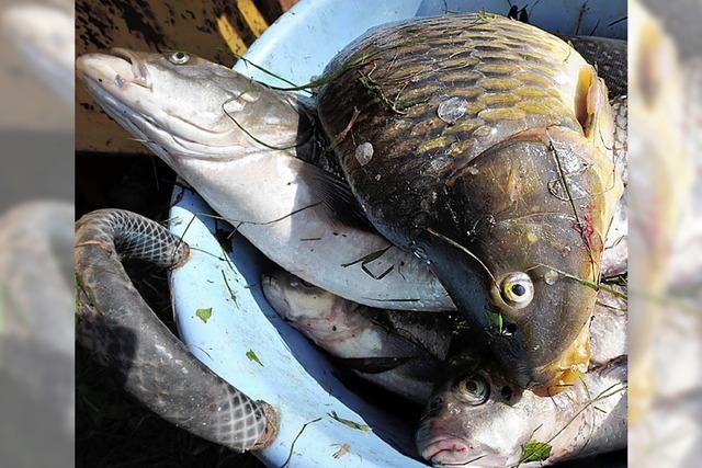 WWF warnt vor tickenden Zeitbomben