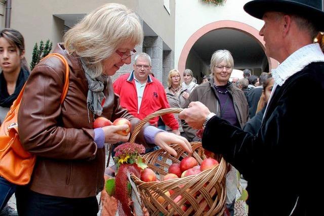 Hela und Apfelmarkt in Laufenburg