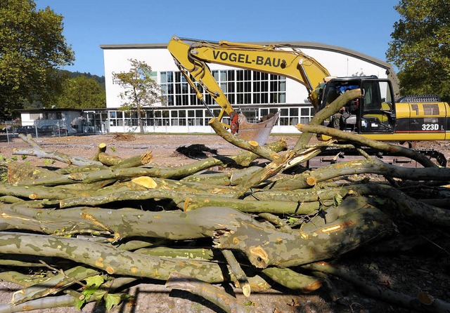 Mit dem Fllen von sechs Platanen begannen die Bauarbeiten fr das Ensemblehaus.  | Foto: ingo schneider