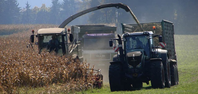 Um eine ununterbrochenen Hckseleinsat...Lffinger Gemarkung eingefahren sein.   | Foto: Christa Maier