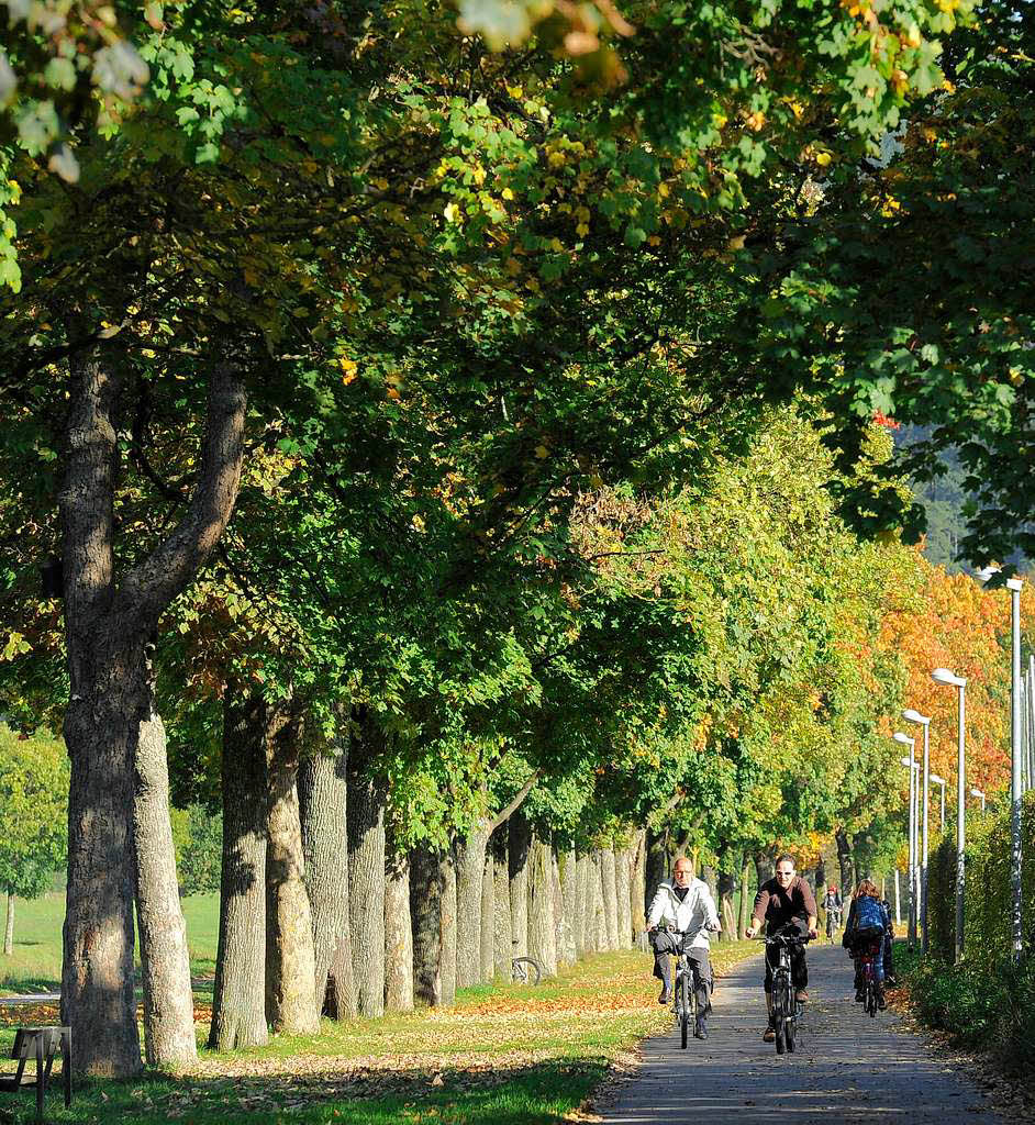 Radfahrer am Dreisamuferweg