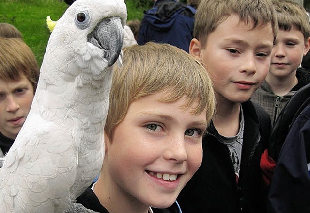 Im Vogelpark bekam Fabio Besuch von einem Kakadu.   | Foto: Privat