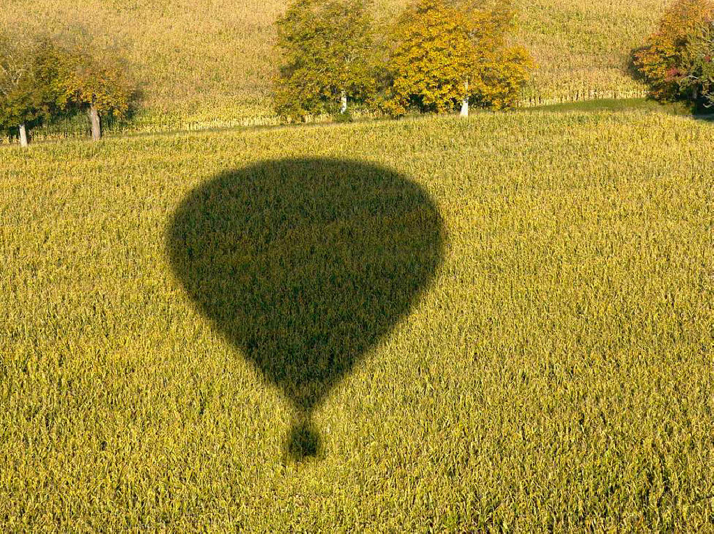 Der Ballon wirft einen klaren Schatten auf das schon recht nahe Maisfeld