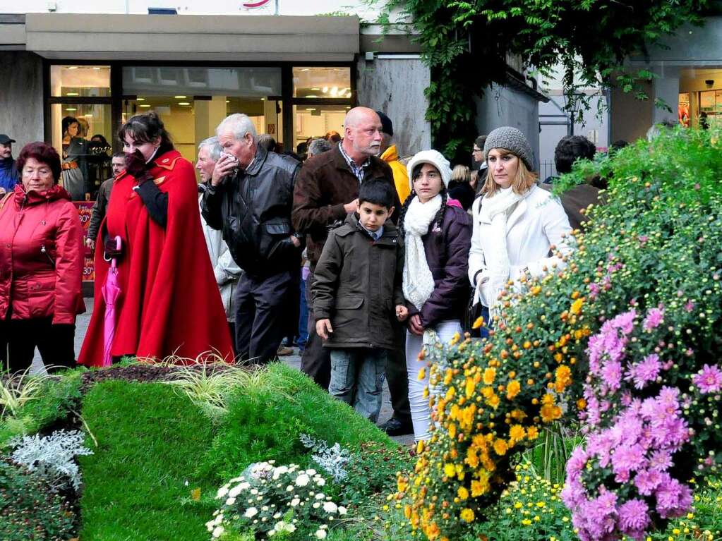 Impressionen von der Chrysanthema